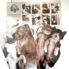 Item thumbnail for item 4092f477-7420-4cca-81f7-95d0f3705036