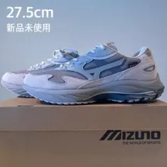 MIZUNO WAVE RIDER β GTX ゴアテックス
