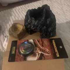 Item thumbnail for item b2b8c274-aec2-4ea5-9401-cac0e02425bd