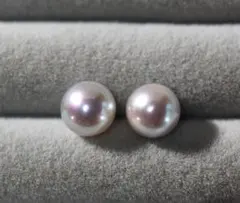 即買い歓迎様専用　割引済み　美品　国産あこや真珠 コバルト 6.9mm ピアス