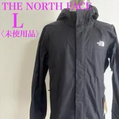 ザノースフェイス ベンチャー2ジャケット 防水 海外正規輸入品　新品タグ付き