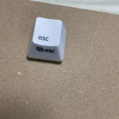 Item thumbnail for item cf2b9f56-0b36-4520-9137-6d3d1d1adebf