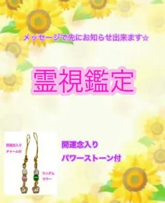 《期間限定価格☆初回様》☆霊視鑑定　お悩み１件　鑑定書　ストラップひとつ送付