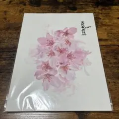 滝沢歌舞伎 ZERO FINAL 2023 パンフレット SnowMan グッズ