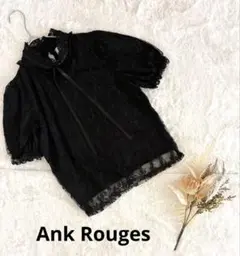 Ank Rouge ブラック 総レース ブラウス 半袖　Mサイズ