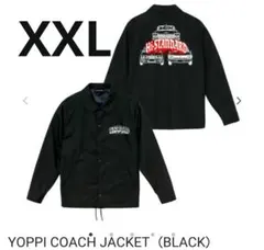 Item thumbnail for item 70c8c3fd-8458-40a5-809d-b41a568ef2f4