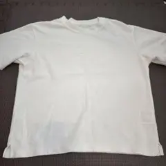 白無地 100cm