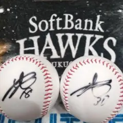 2025年最新】武田翔太サインの人気アイテム - メルカリ