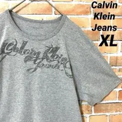 Calvin Klein Jeans 半袖 Tシャツ ビッグプリント デカロゴ