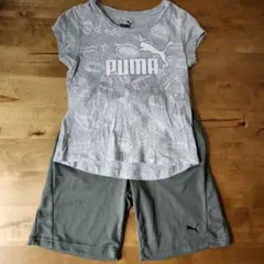 キッズ　女の子　PUMA　セット　130