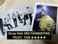 Stray Kids スキズ PILOT ペンミ トレカ ポラロイド 特典