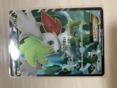 シャイニーコレクション　シェイミex SR シェイミEX 買取 | [SC] コンセプトパック シャイニー