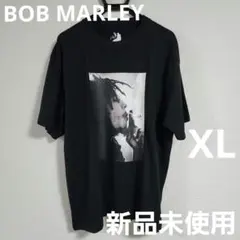 Item thumbnail for item 47908288-2e63-4024-b823-1bc730335260