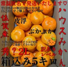 皮浮♡ぷかぷか♡訳ありレベル❤️ハウスみかん❤️赤秀？❤️2Lサイズ❤️5キロ❤️のサムネイル