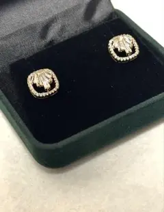 CHINNDD ピアス アクセサリー(専用ケース付き)