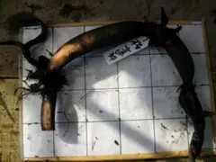 八月様 リクエスト 2点 まとめ商品