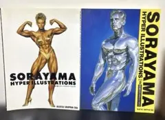 SORAYAMA THE GYNOIDS SUBLIME 空山基 作品集 美品 - メルカリ