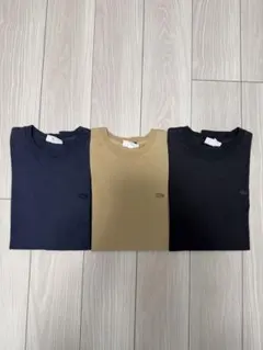 LACOSTE Tシャツ 3枚セット