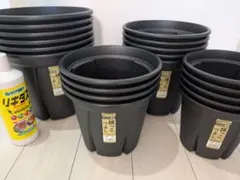 根っこつよし各種サイズとリキダス800mlのセット - メルカリ