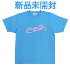 2025年最新】わっしょいCAMP tシャツ スカイブルーの人気アイテム