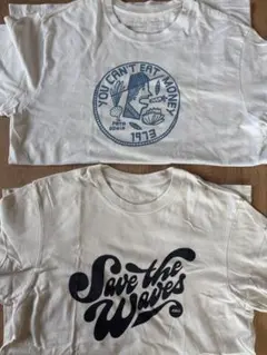 ヒ*デ様 Patagonia パタゴニア tシャツ Lサイズ Mサイズ