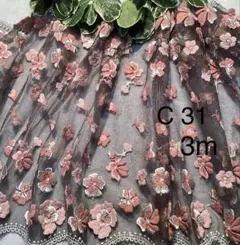 C 31 チュールレース