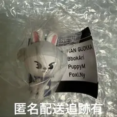 StrayKids リノ リービット サウナフィギュア Leebit スキズ