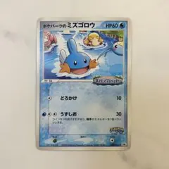 ポケパークのミズゴロウ プロモ ポケモンカード 048/PCG-P