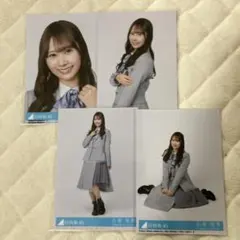 Pega様 リクエスト 2点 まとめ商品