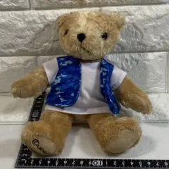 〈LEXUS〉レクサス テディベア 迷彩ベスト青　ぬいぐるみ［18㎝］のサムネイル