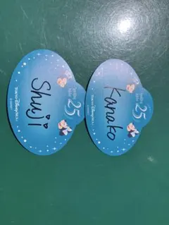 東京ディズニーシー　25周年