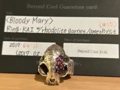 2026年最新】bloody mary kaiの人気アイテム - メルカリ