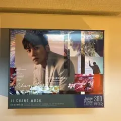 2026年最新】チ・チャンウクの人気アイテム - メルカリ