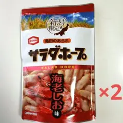 亀田製菓 サラダホープ 90g 2袋 - メルカリ