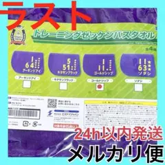 ゴールドシップ サラブレッドコレクション トレーニングゼッケン バスタオル