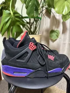 2026年最新】JORDAN 4 RETRO RAPTORSの人気アイテム - メルカリ