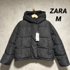 Item thumbnail for item 4b524f66-5965-429d-a293-2eef40f38c1b