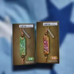 モンスターハンターワイルズ護石キーホルダー治癒1種体術１種