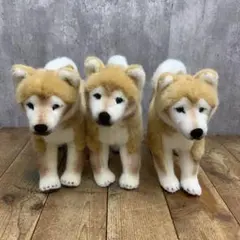 3F 【ドイツ ケーセン社】リアル 柴犬 ぬいぐるみ 3体セット KOSEN 犬