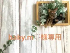 baby.m♡様専用