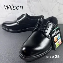 Item thumbnail for item f1ad0ecb-f9a1-4773-aefa-fde40deb0d0a