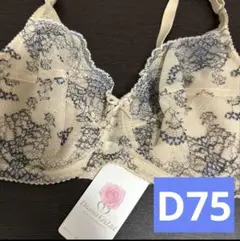 2025年最新】ダイアナ 下着 d75の人気アイテム - メルカリ