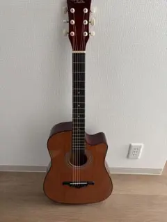 アコースティックギター 楽天