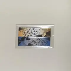 ハイキュー グラデーションアクリルキーホルダー 日向翔陽 影山飛雄