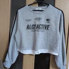 ALGY グレー クロップドトップス