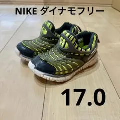 NIKE ダイナモフリー　17.0