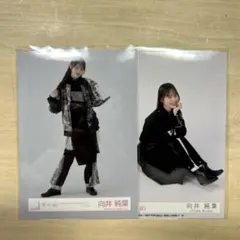 櫻坂46 向井純葉 生写真 まとめ売り