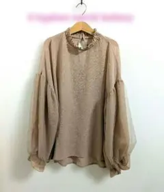 お値下げ✽イーハイフン　シフォンブラウス　シアー素材　ピンクベージュ　F