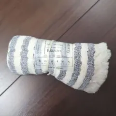 Item thumbnail for item a3829202-f0f6-4360-9cb8-d85372c31f3f