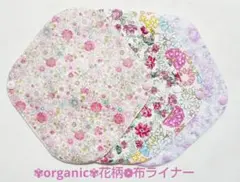 Item thumbnail for item 9000d275-2efe-4a85-9fe7-affbc061b5c9